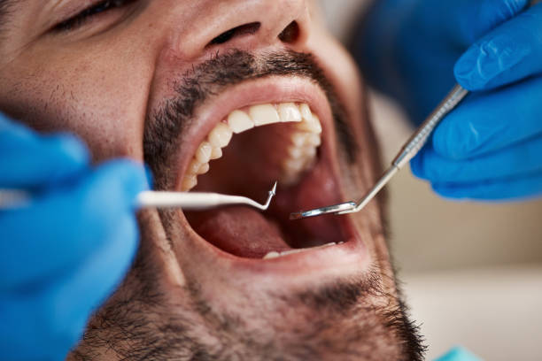 Best Cosmetic Dentistry  in Elm City, NC